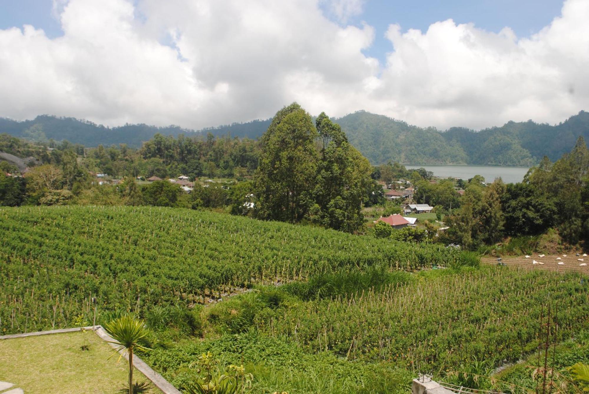 Mapa Lake View Bungalow Kintamani Zimmer foto